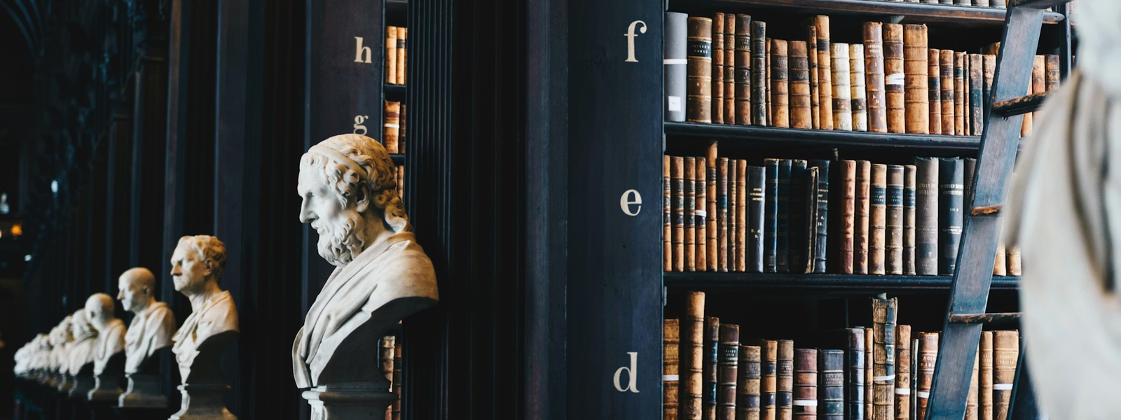 Banner Articolo Talvuna Studio Legale